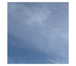 635788126