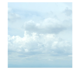 635788133