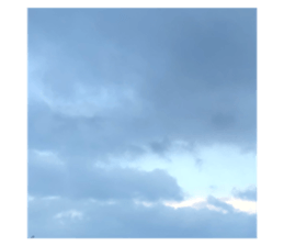 635788134