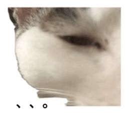 635791487