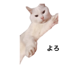 635791490