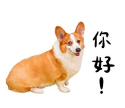 635798011