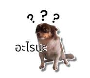 635798960