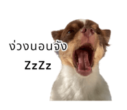 635798963