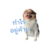 635798967