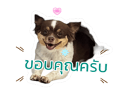 635798971