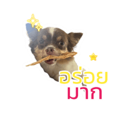 635798974