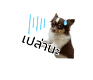 635798975