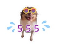 635798977