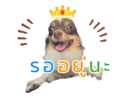 635798978