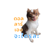 635798981