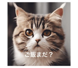 635799867