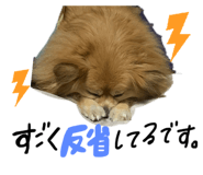 635804506