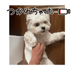635805544