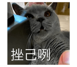 635812664