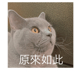 635812674