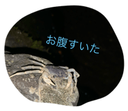 635822064