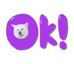 635841726