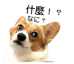 635962649