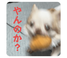 635969420