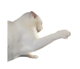635974628