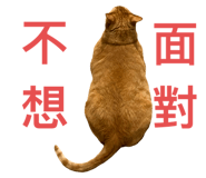 635992273