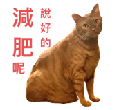 635992277