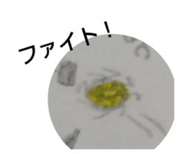 635995409