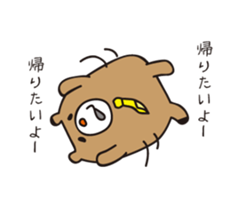 635997