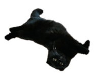 635999483