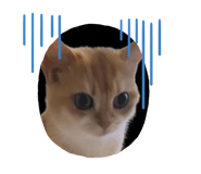 635999496