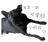 636017748