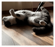 636019994