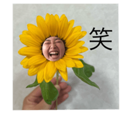 636030297