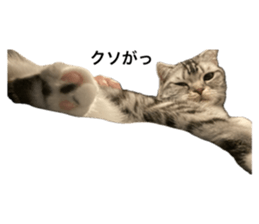 636034145