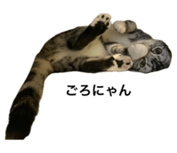 636034167