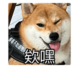 636034816