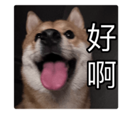 636034817