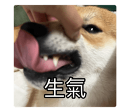 636034821