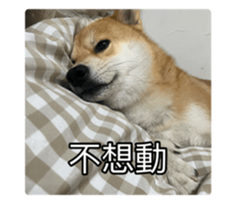 636034824