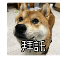636034826