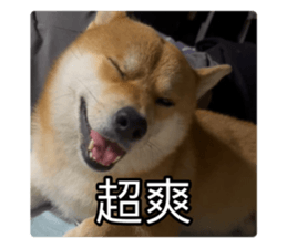 636034827
