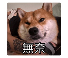 636034831