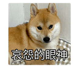636034838