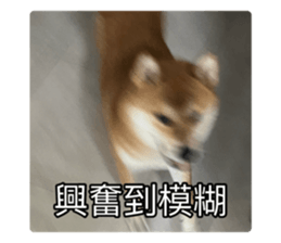 636034839