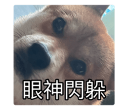 636034840