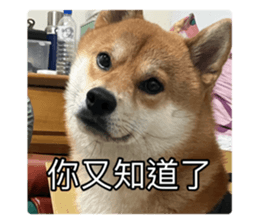 636034841