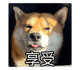 636034844