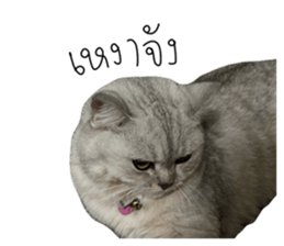 636044332