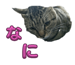 636068951